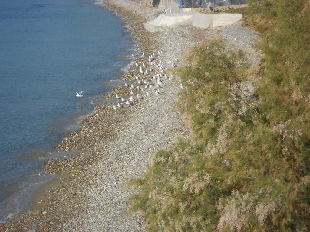 Into The Blue Villa Aya Paraskevi Dış mekan fotoğraf